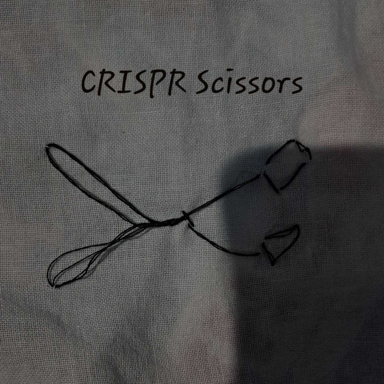 CRISPR Scissors Stitched