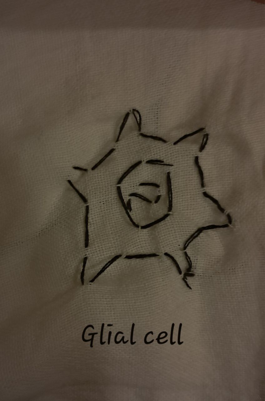 Glial Cell Stitched