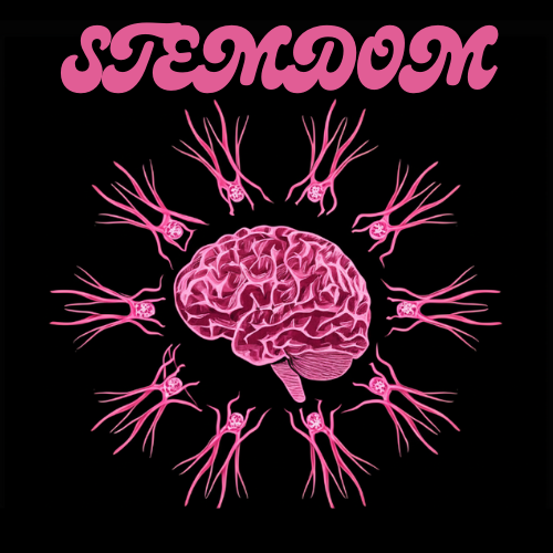STEMdom – Where Curiosity Meets Discovery